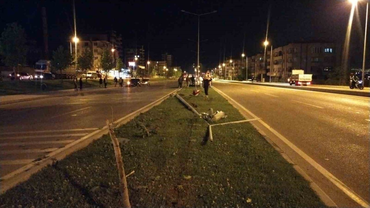 Kontrolden çıkan araç aydınlatma direği ve ağaçları devirdi