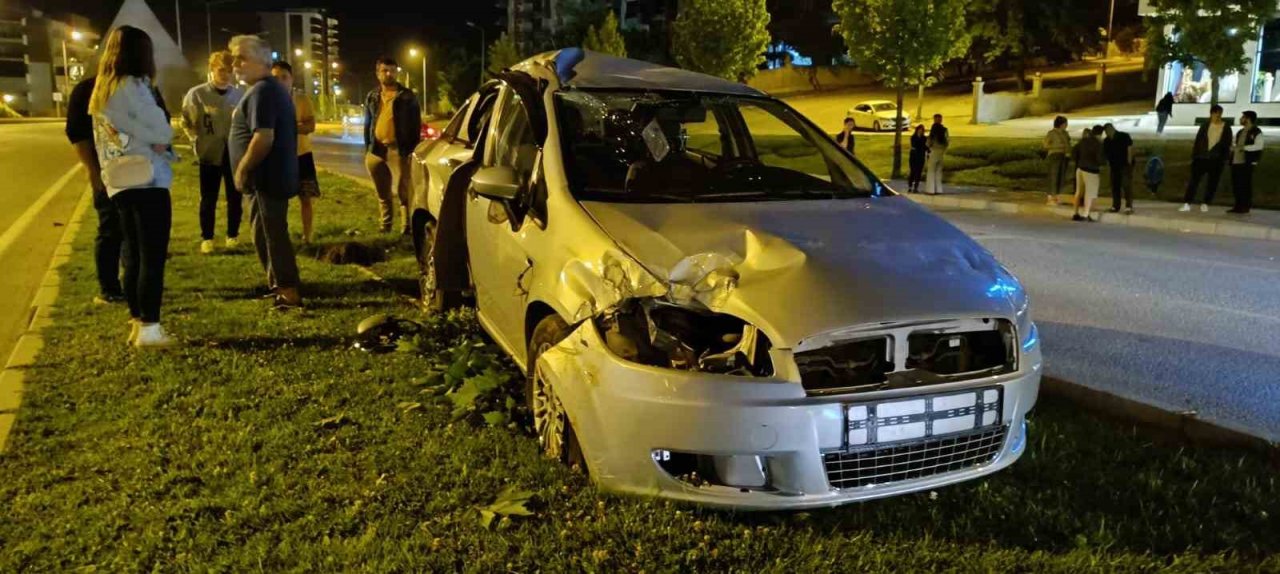 Kontrolden çıkan araç aydınlatma direği ve ağaçları devirdi