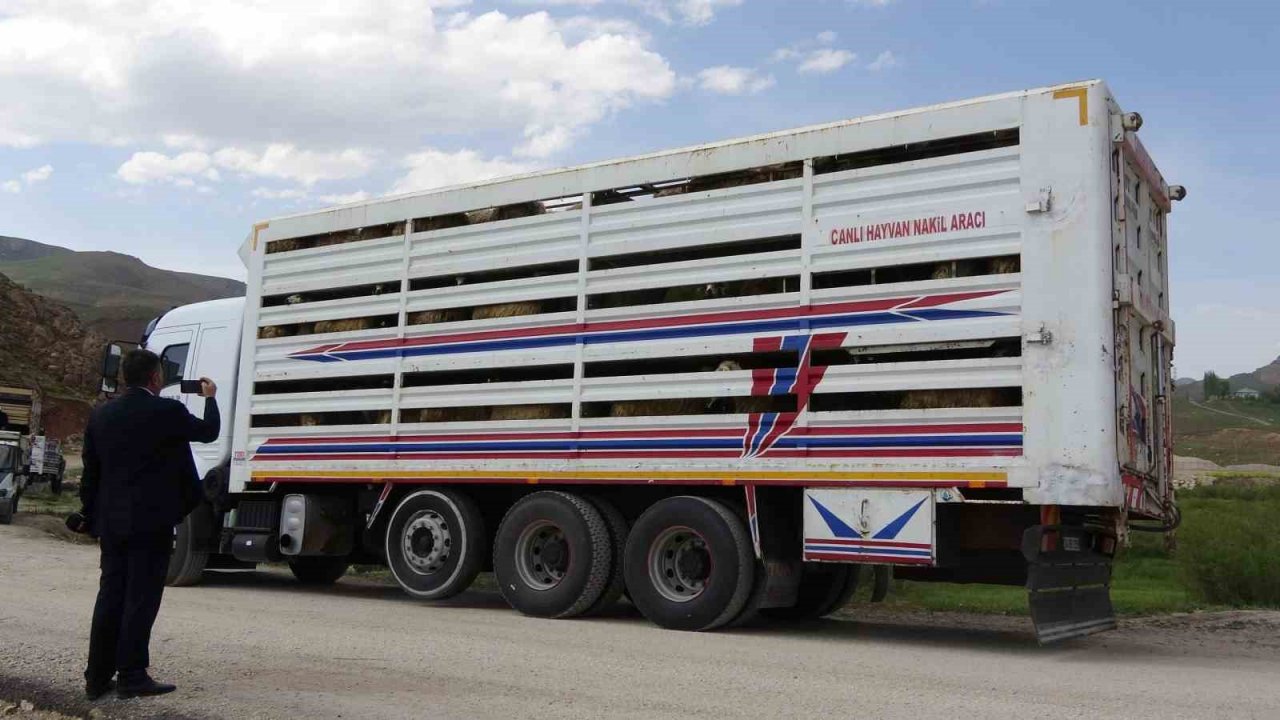 Köylerine geri dönen çiftçilere küçükbaş hayvan desteği