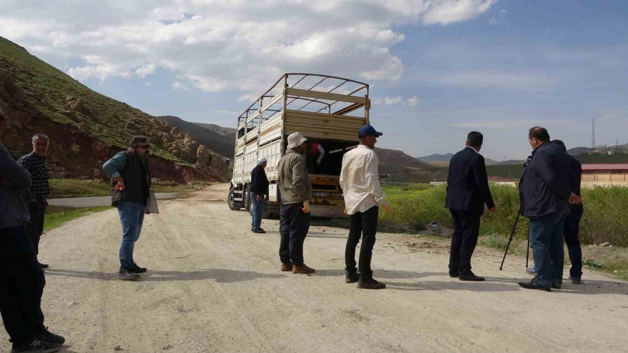 Köylerine geri dönen çiftçilere küçükbaş hayvan desteği