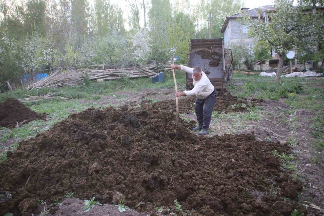 Üreticiler hayvan gübresiyle verimini arttırıyor