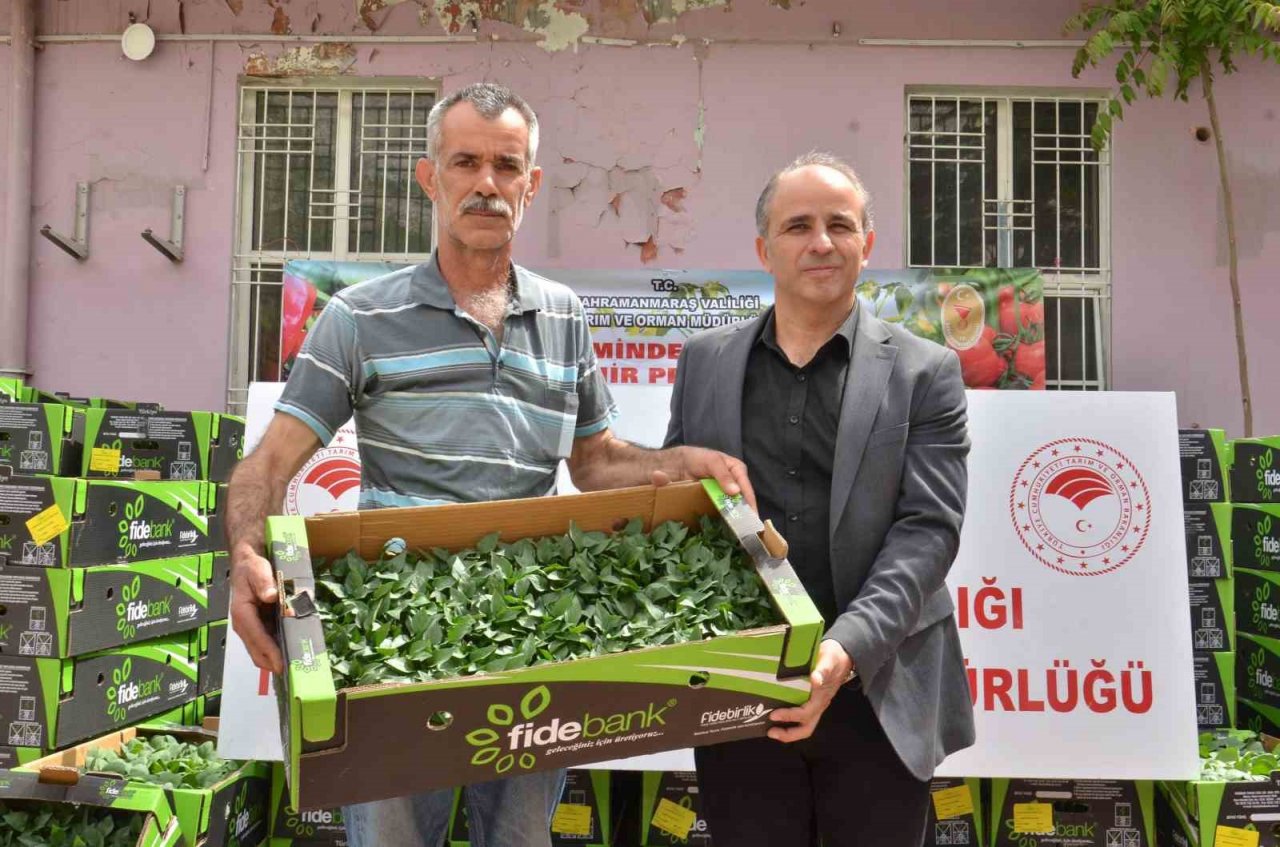 Depremzede üreticilere 206 bin sebze fidesi dağıtıldı