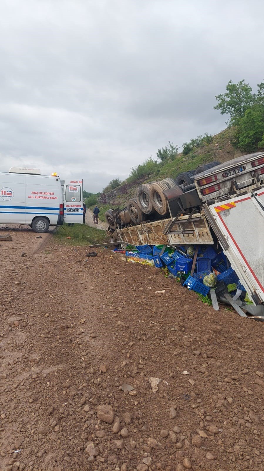 Sebze yüklü kamyon devrildi, sürücüsü yaralandı