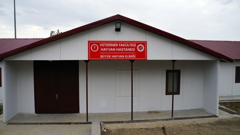 Kastamonu hayvan hastanesine kavuşuyor