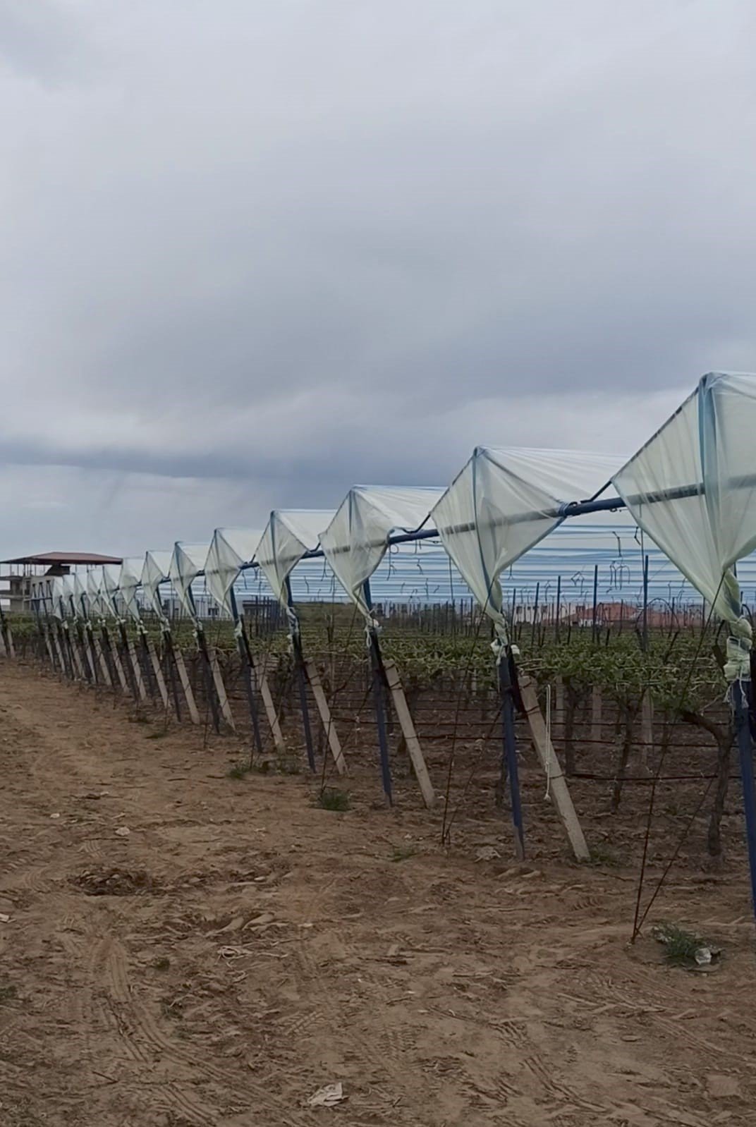 Doluya karşı önlemler artırılıyor