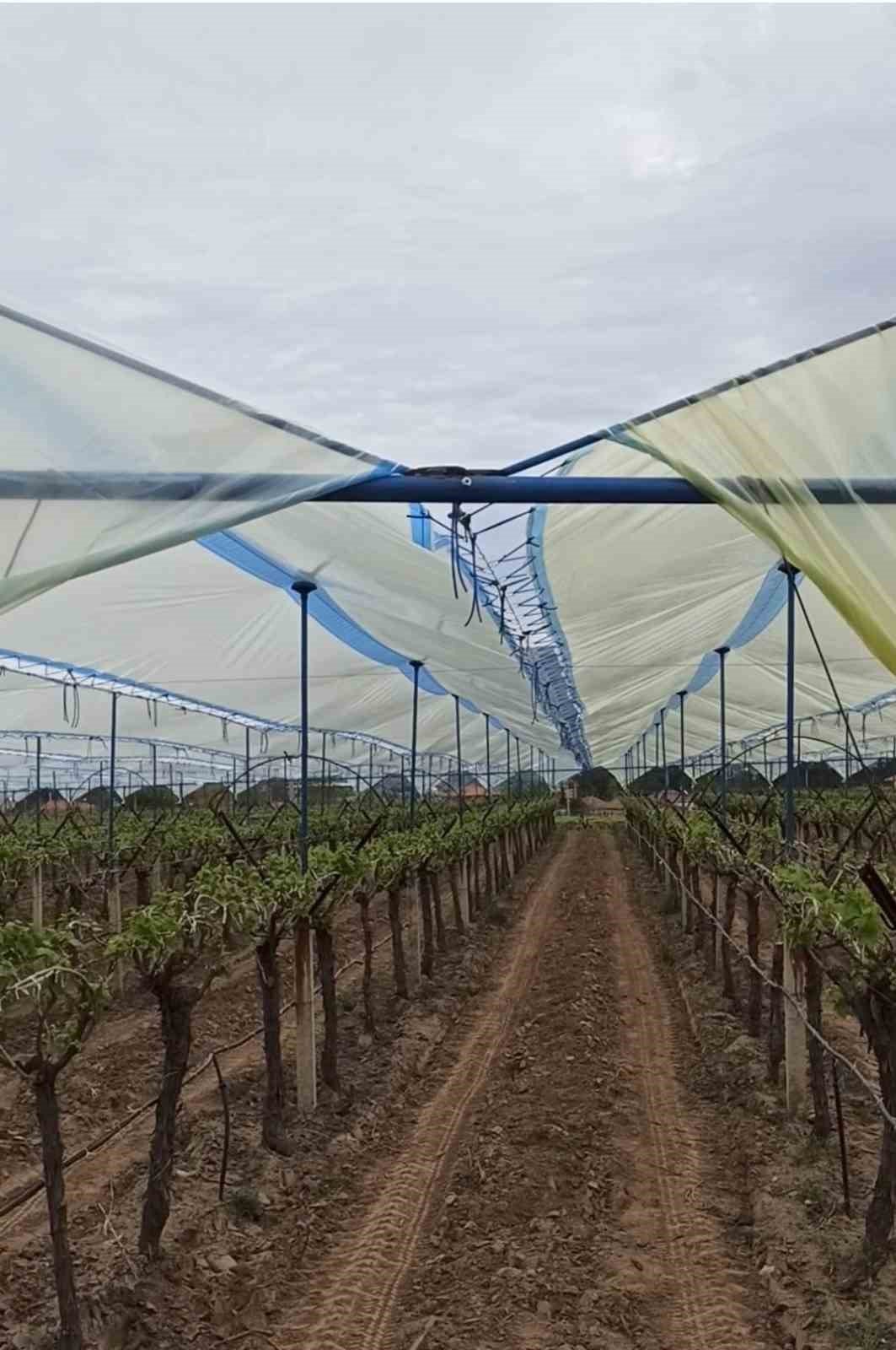 Doluya karşı önlemler artırılıyor