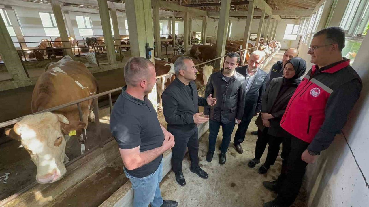 Ordu’da besiciler yeni ahır sistemini benimsedi