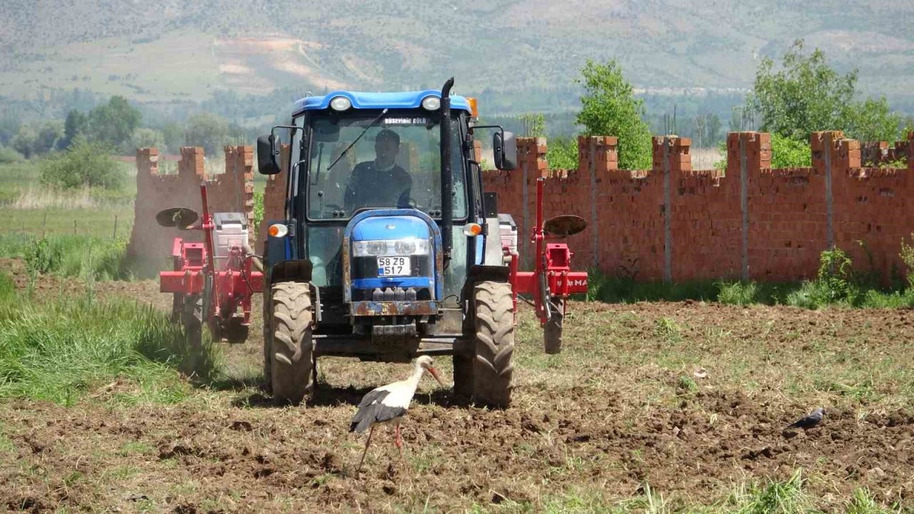 Bu köy 40 yıllık misafir leylekleriyle dikkat çekiyor