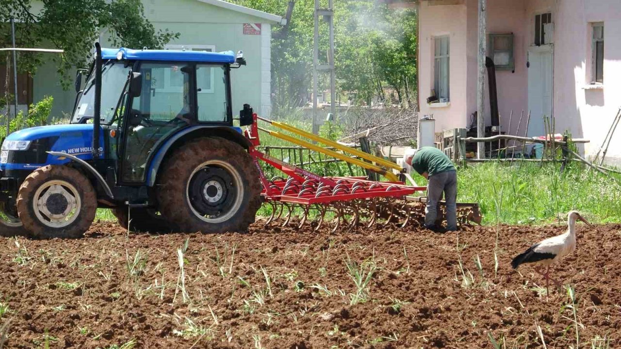 Bu köy 40 yıllık misafir leylekleriyle dikkat çekiyor