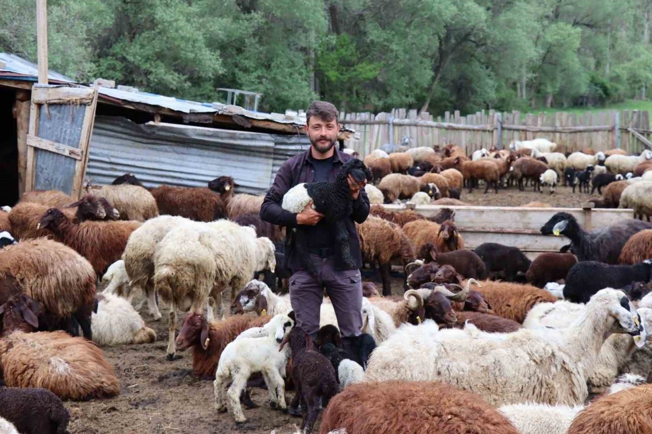 Ayıların kavgasını görüntüledi