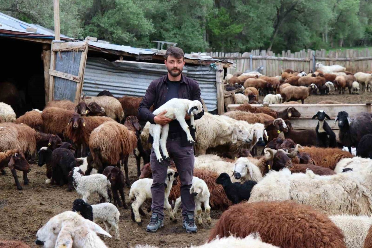 Ayıların kavgasını görüntüledi