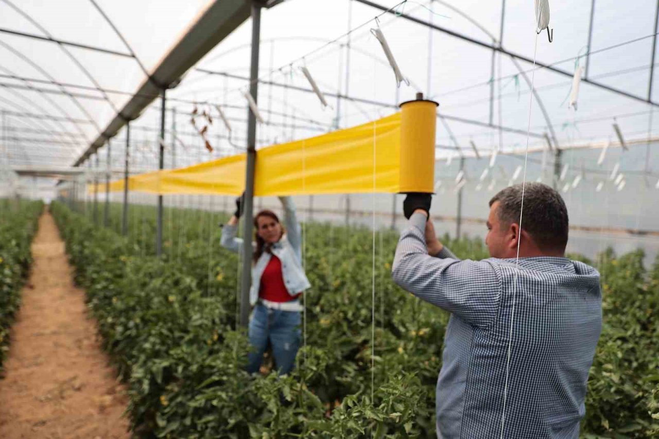 Denizlili üreticilere haşerelerle mücadele desteği sürüyor