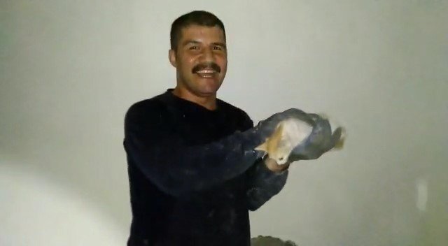 Batman’da iki bina arasında sıkışan yavru kedi kurtarıldı