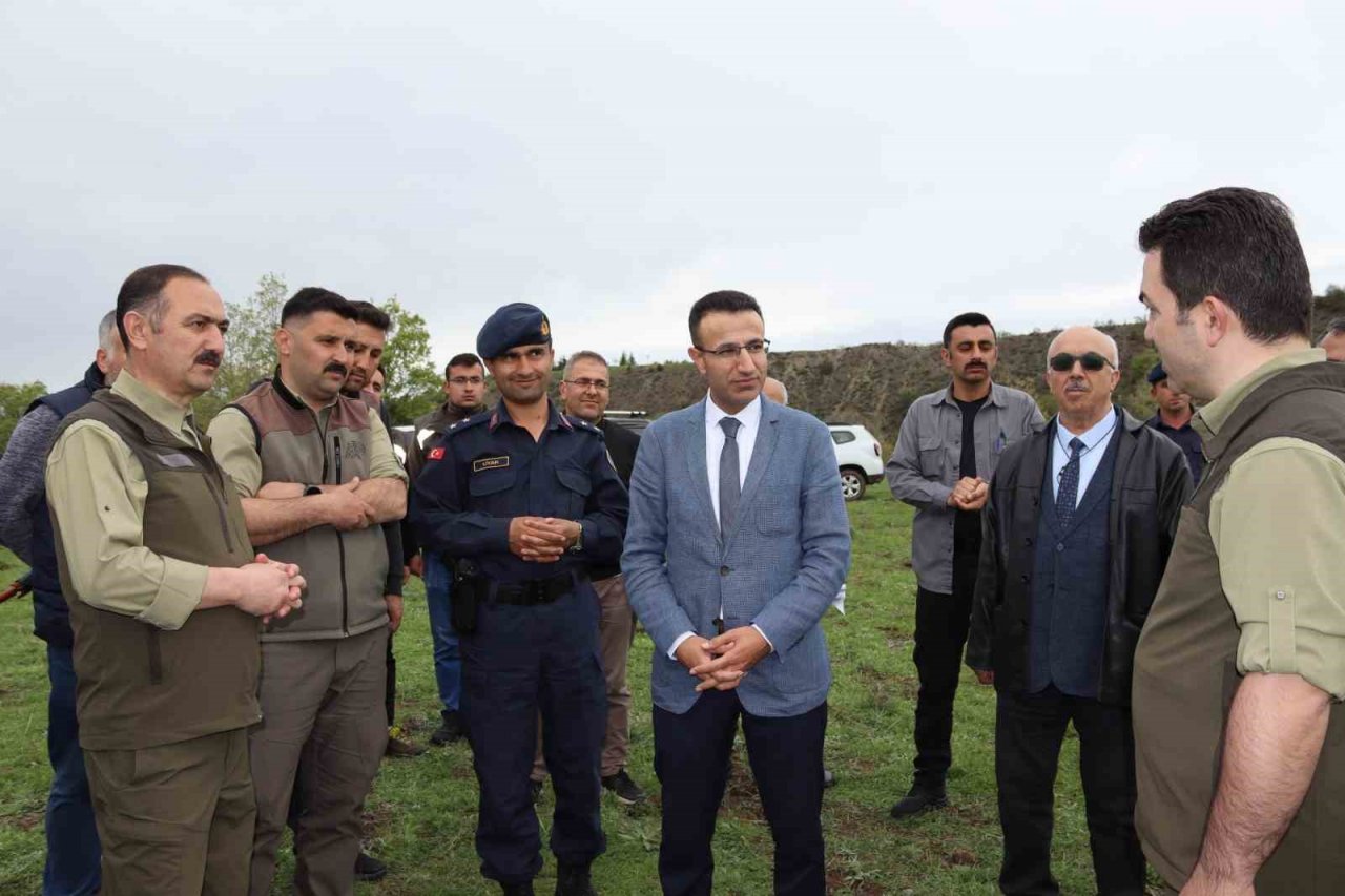 Çorum’da 4 kızıl geyik doğaya salındı