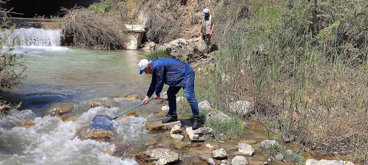 Elazığ’da Hazar İnci ve Siraz Balığı izleme çalışması yapıldı