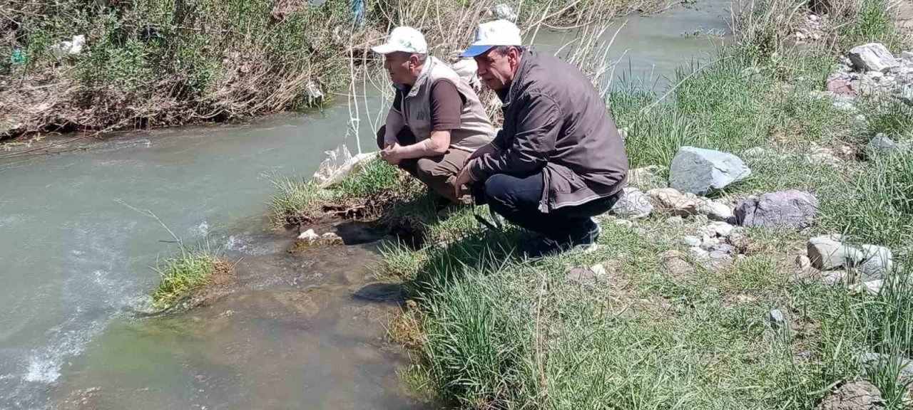 Elazığ’da Hazar İnci ve Siraz Balığı izleme çalışması yapıldı