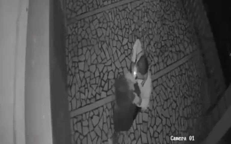 Tartıştığı genç kızı önce tokatladı, sonra saçından tutarak ittirdi