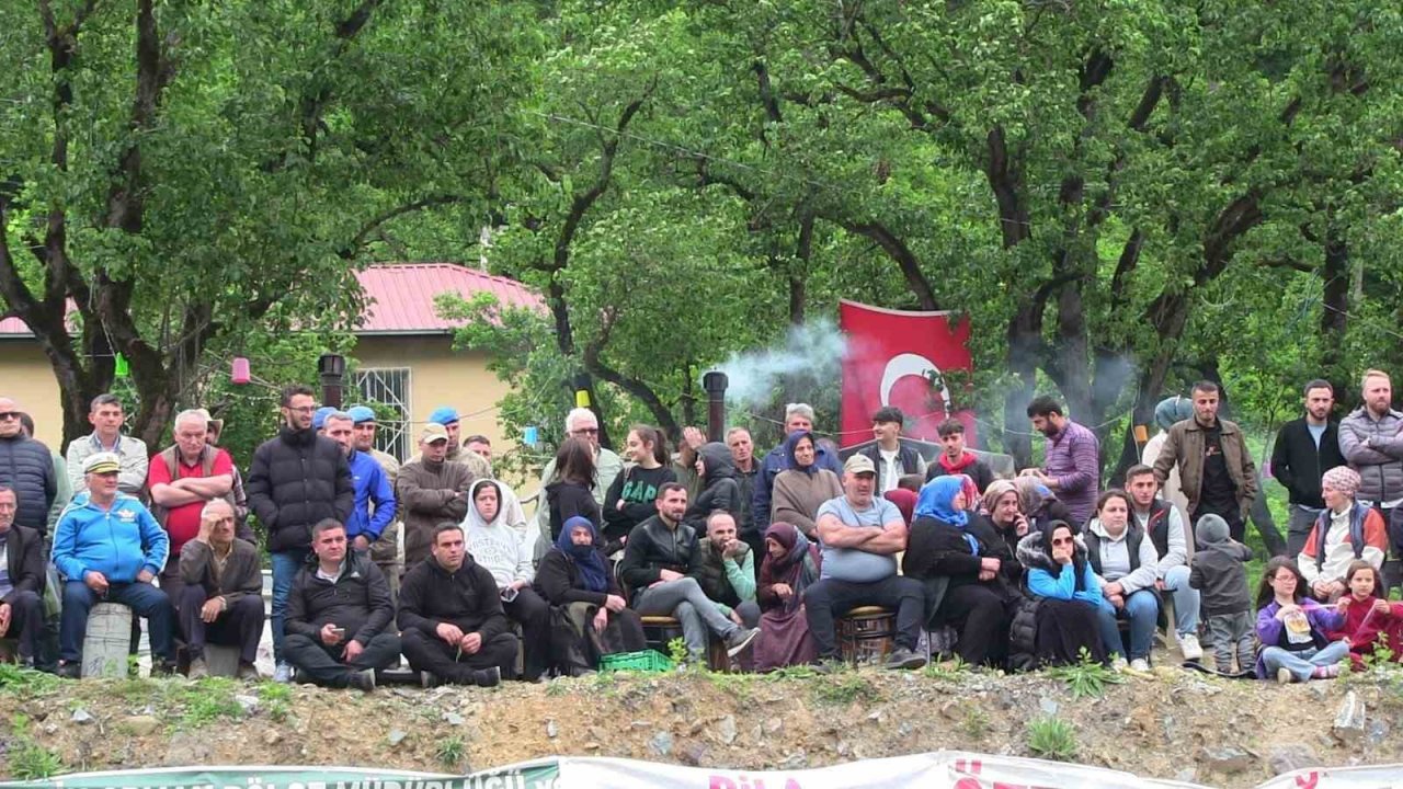 Artvin’de geleneksel düzenlenen boğa güreşleri nefes kesti