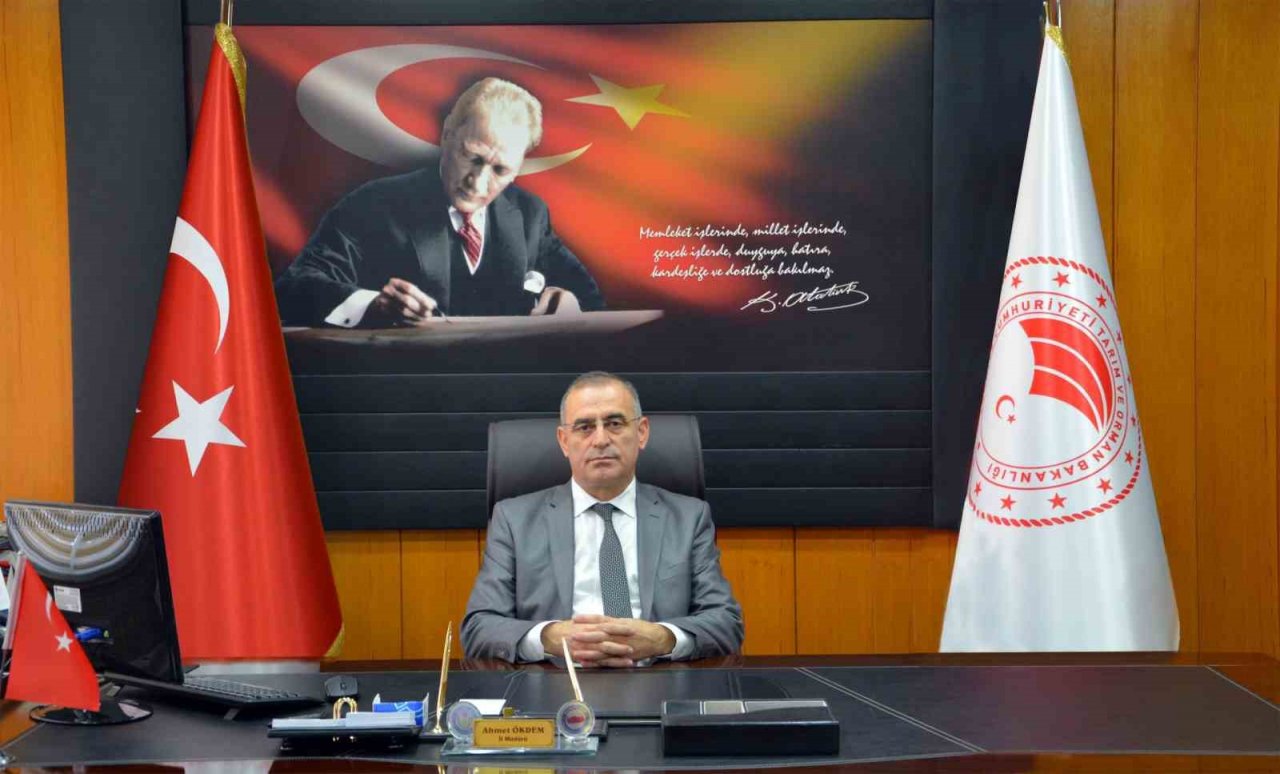 Aydın’da turunçgil unlu bit zararlısı ile mücadele başladı