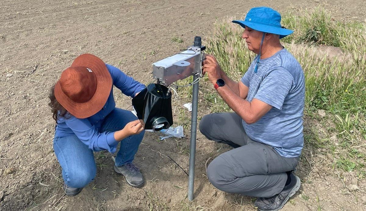 Söke’de pamuk zararlı takibinde dijital dönem