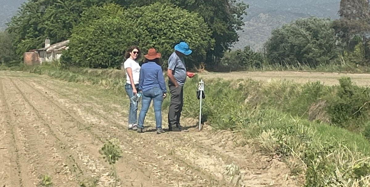 Söke’de pamuk zararlı takibinde dijital dönem