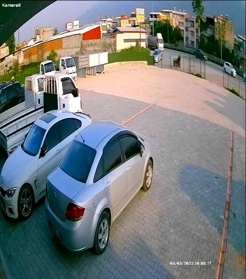 Bursa’da başıboş at böyle kaza yaptı, telef oldu