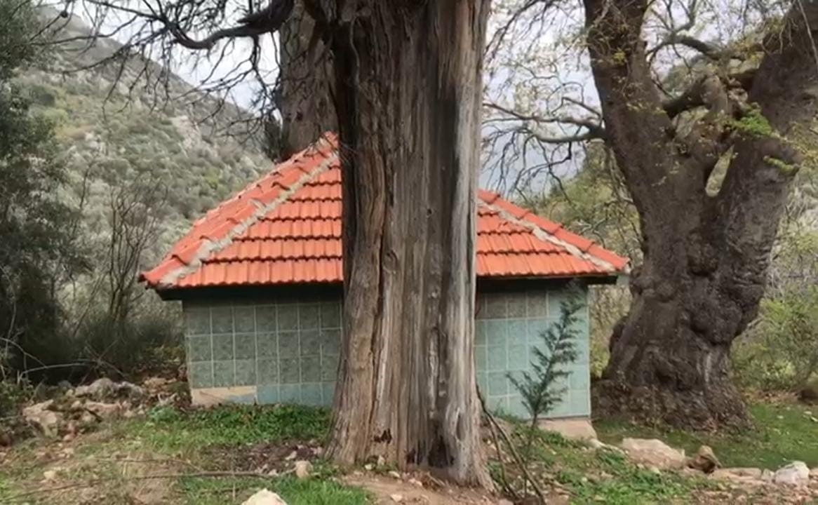 Edremit’te Çanlı Baba türbesi unutuldu