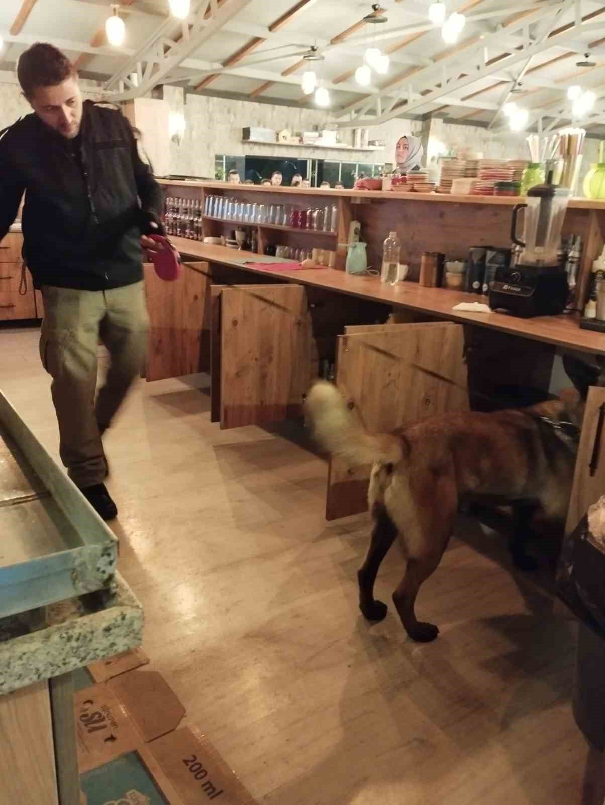 Gediz’de eğlence mekanlarında uyuşturucu denetimi