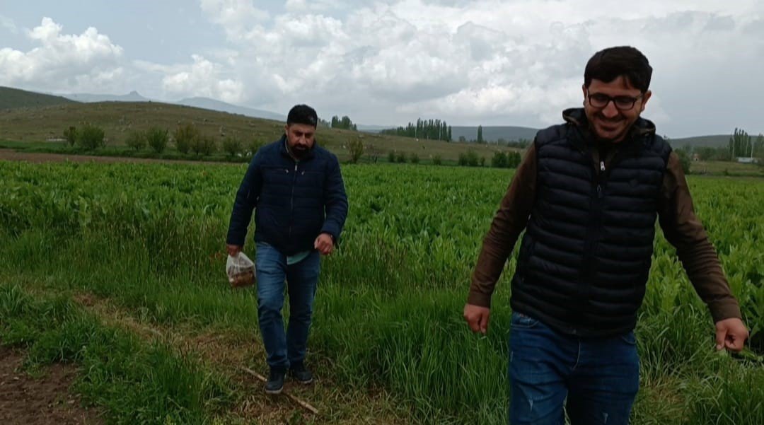 Vatandaştan su kuyusunda mahsur kalan köpekler için kurtarma operasyonu