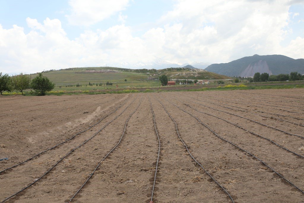 Başkan Çolakbayrakdar; “Kocasinan, şehrin merkezinde tarımsal üretimle Türkiye’ye örnek olacak”