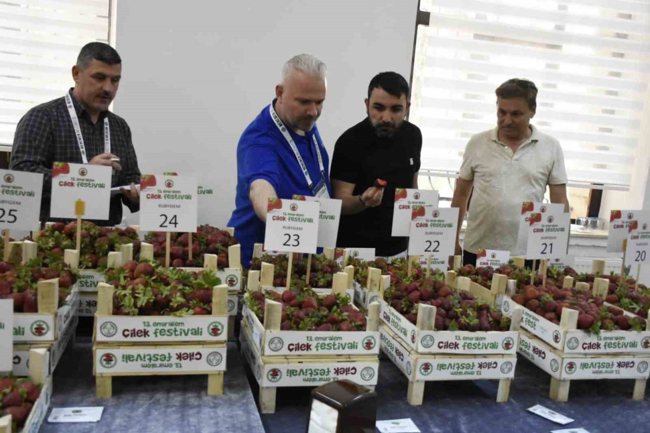 Yüz binler Emiralem Çilek Festivalinde buluştu