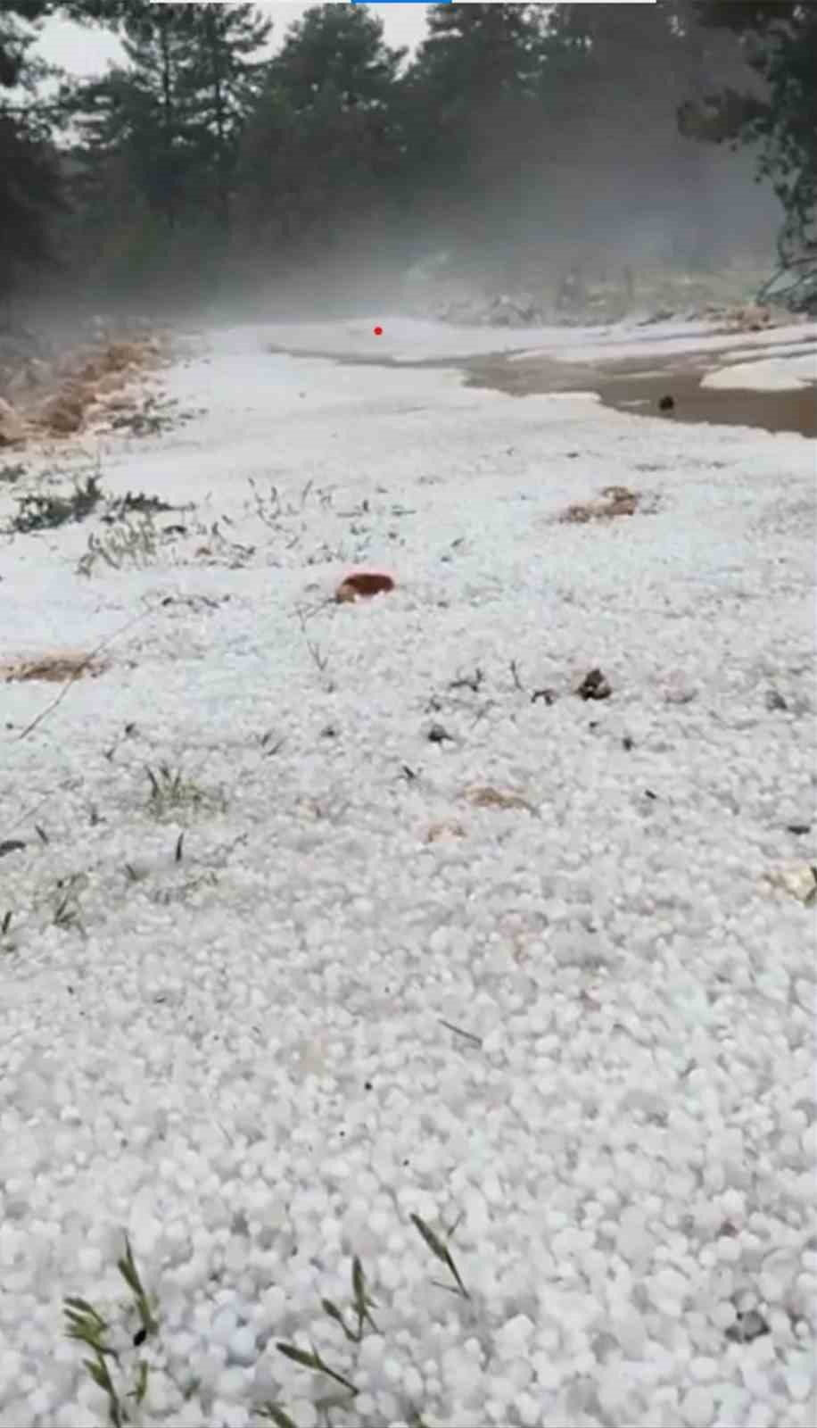 Dolu yağışı yolu beyaza bürüdü