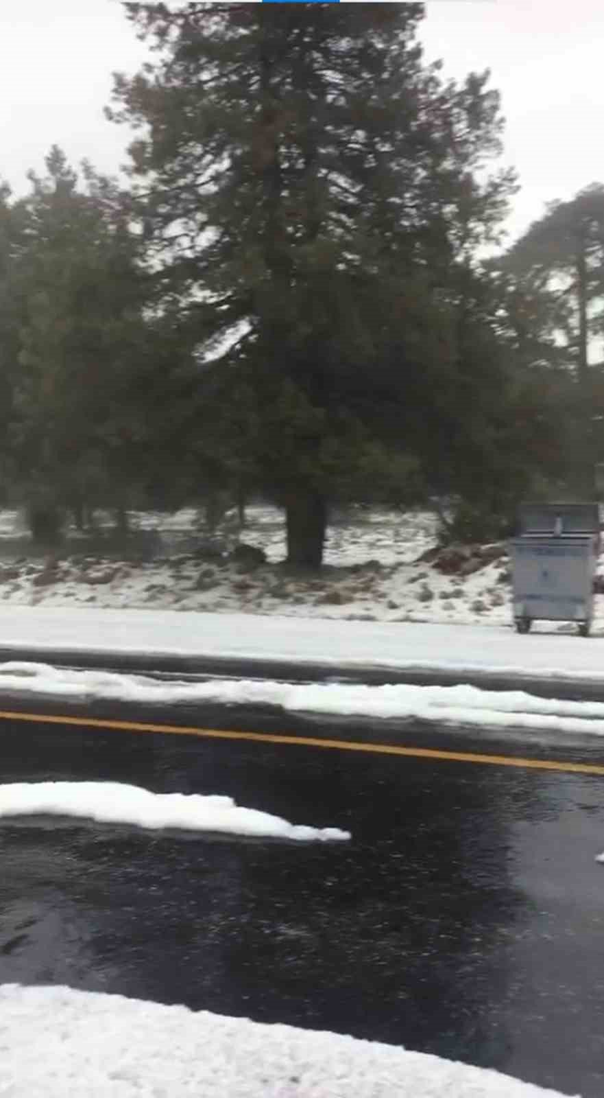 Dolu yağışı yolu beyaza bürüdü