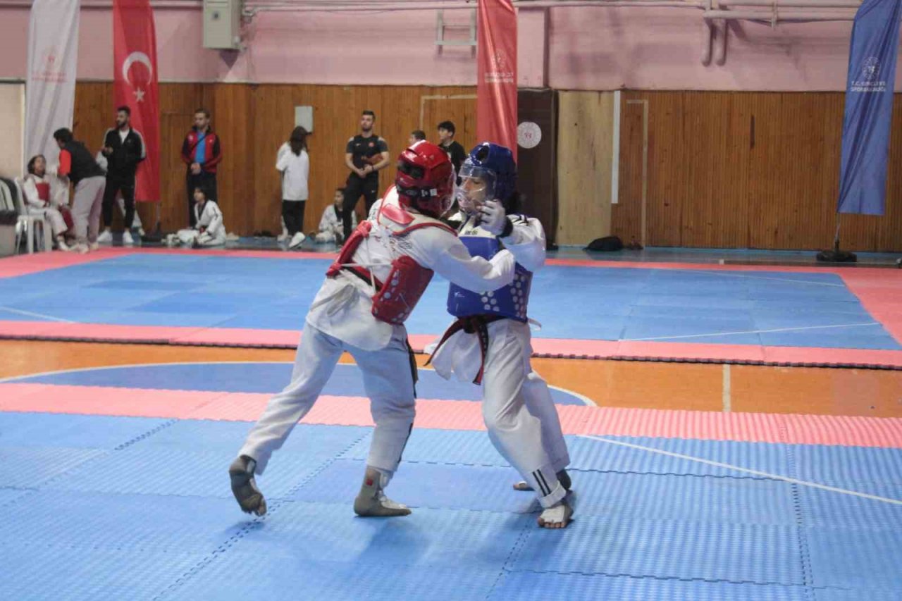 Tekvando Yıldızlar Grup yarışmaları Ordu’da başladı