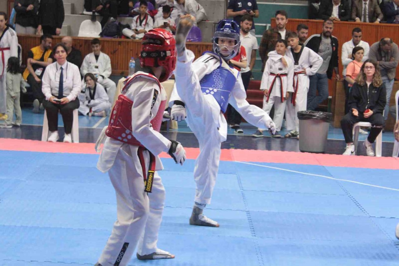 Tekvando Yıldızlar Grup yarışmaları Ordu’da başladı