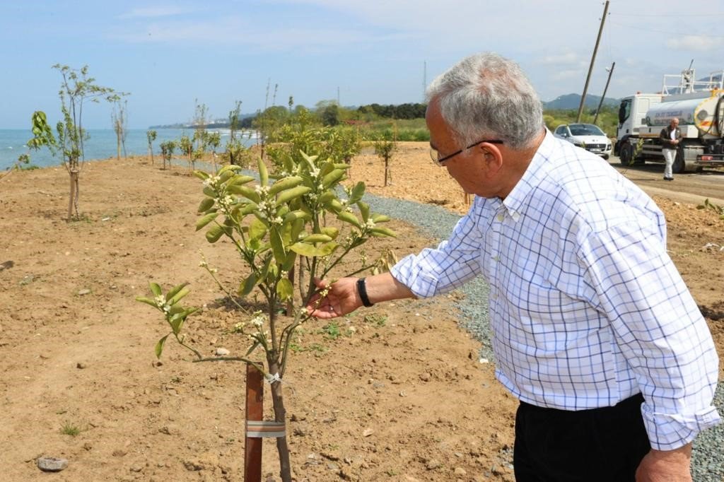 Çöp alanı meyve bahçesi oluyor