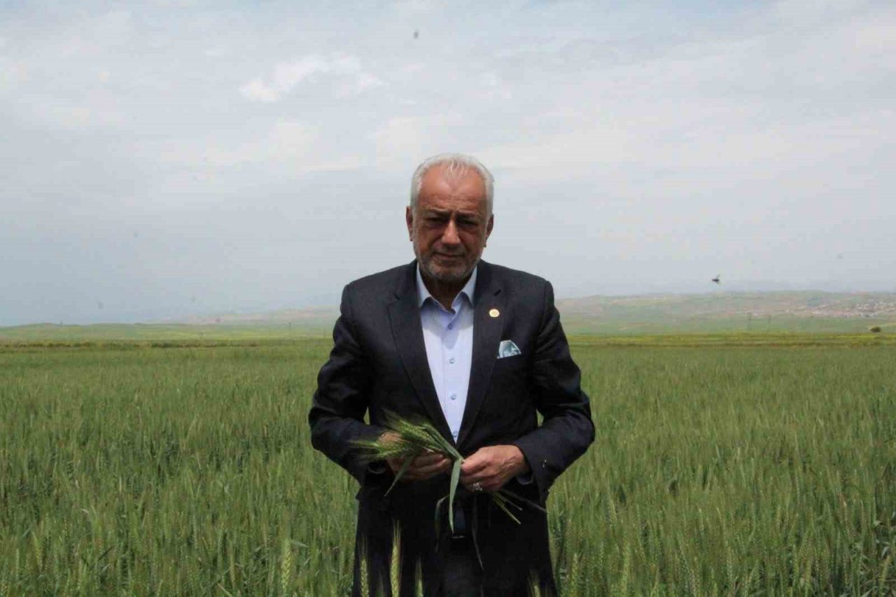 Siirtli çiftçiler hububatta rekor düzeyde ürün bekliyor