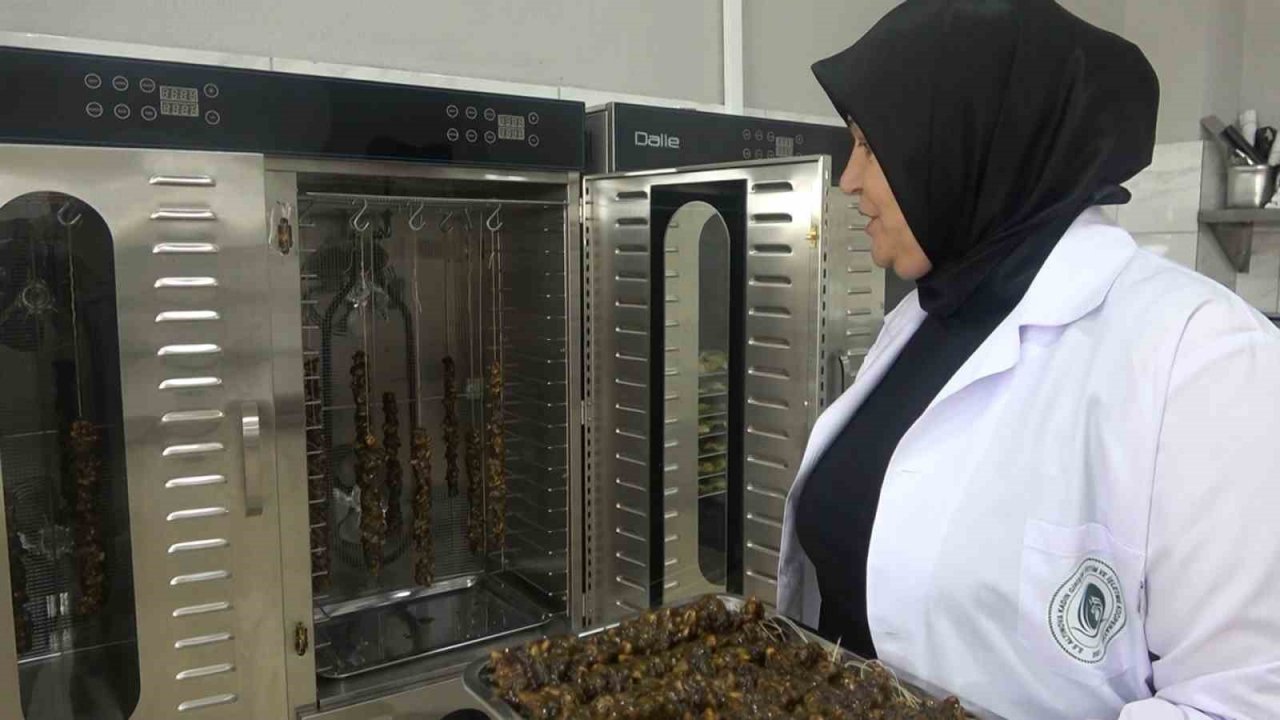 Girişimci kadınlar Türkiye’de ilk kez ürettikleri kivi sucuğunun patentini aldı