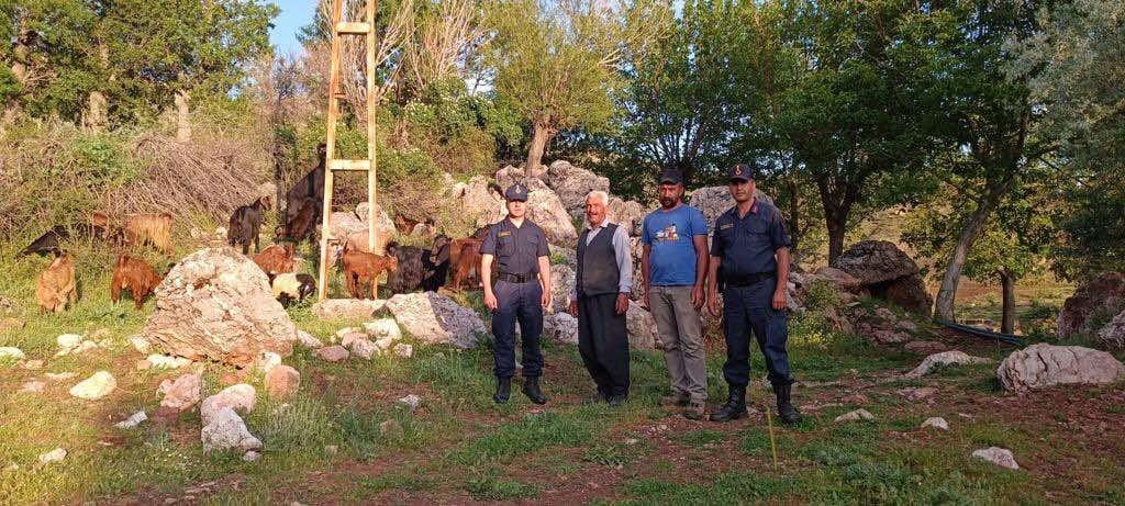 Kaybolan küçükbaş sürüsünü jandarma ekipleri buldu