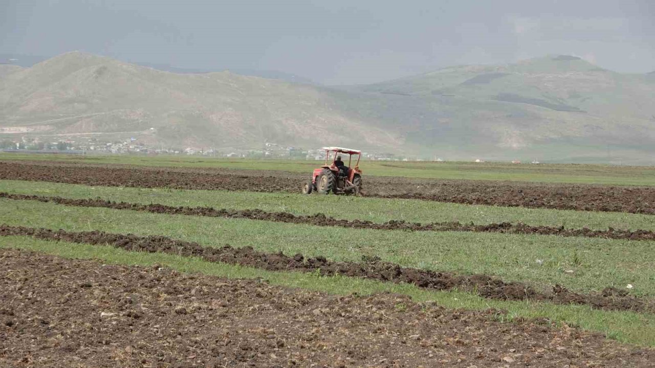 Ardahan’da buğday ve arpa ekimi başladı