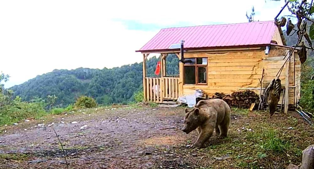 Hırsızlardan şüphelendi, fotokapan görüntülerini izleyince şok oldu