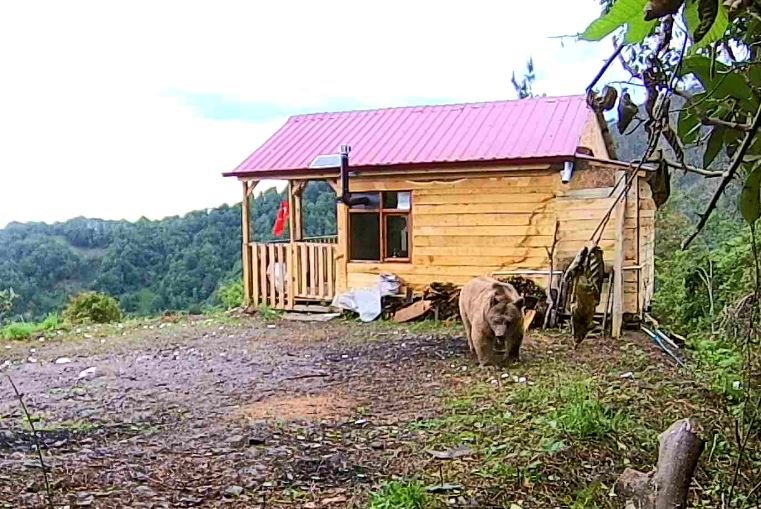 Hırsızlardan şüphelendi, fotokapan görüntülerini izleyince şok oldu