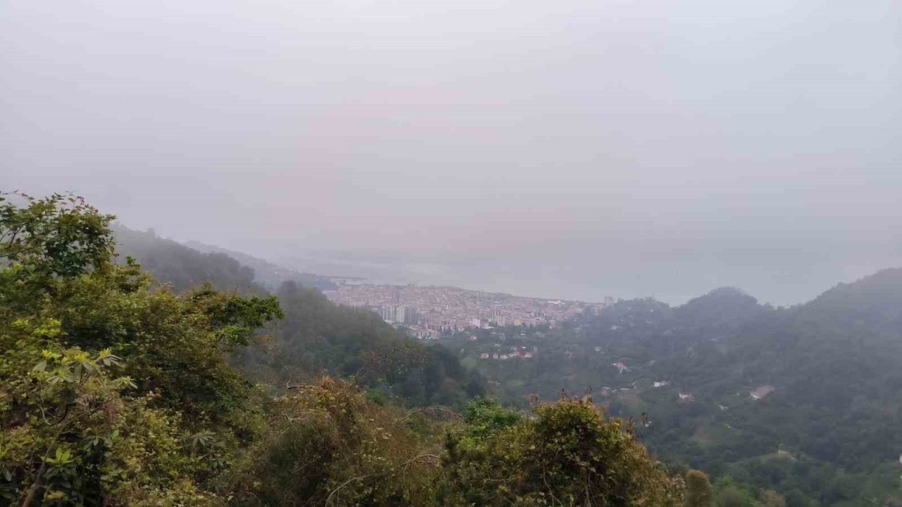 Hırsızlardan şüphelendi, fotokapan görüntülerini izleyince şok oldu