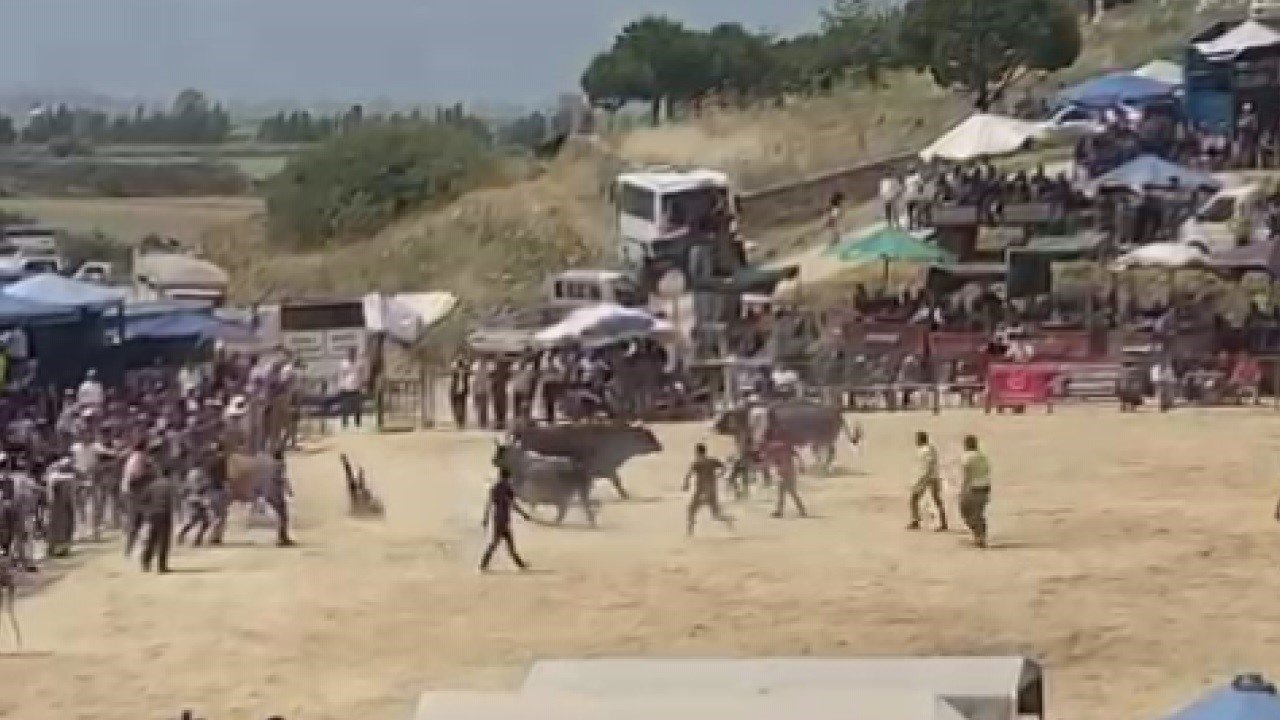 Aydın Boğa Güreşleri’ni Destekleme ve Yaşatma Derneği Başkanı Arda istifasını açıkladı