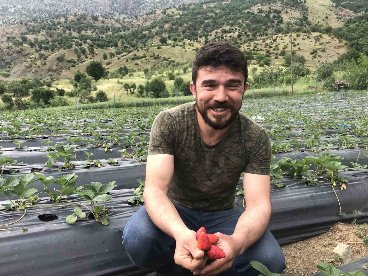 Bin 300 rakımda yetiştirilen çilek çiftçinin yüzünü güldürüyor