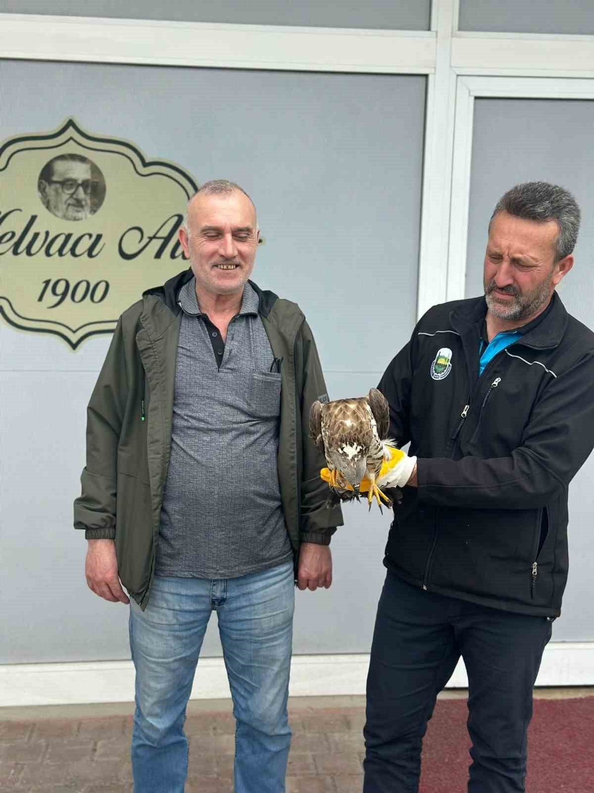 Bursa’da yaralanan şahine vatandaş sahip çıktı