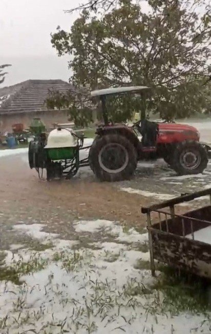Dolu yağışı üzüm bağlarını vurdu
