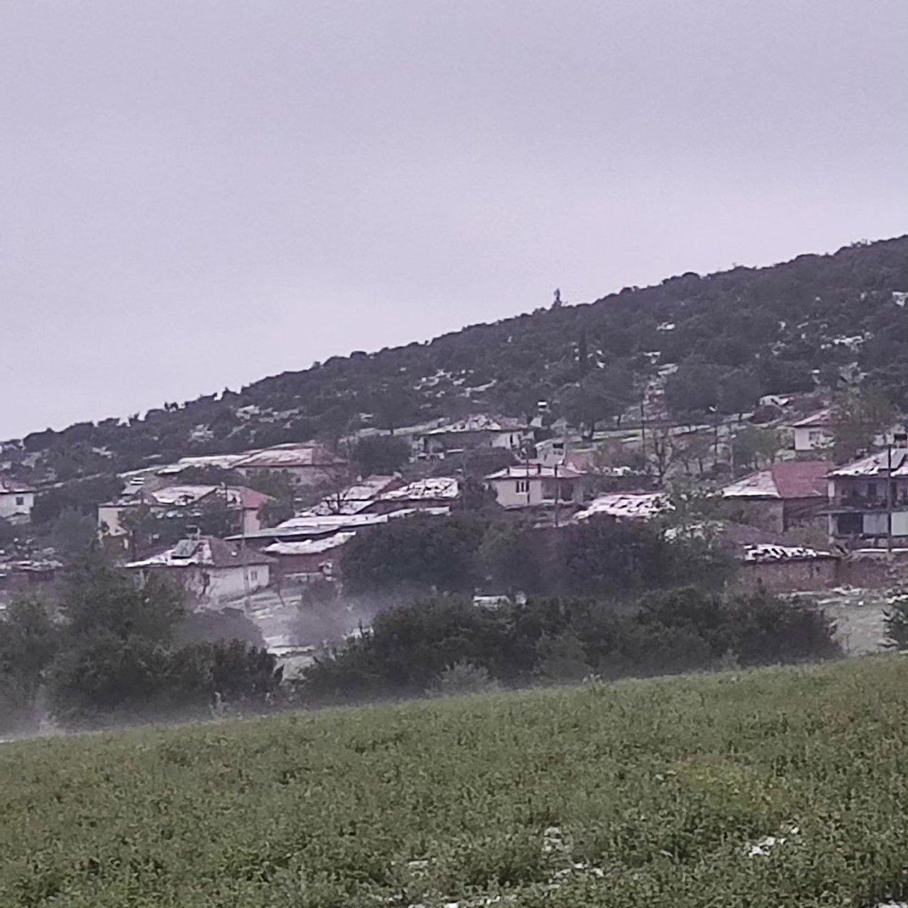Dolu yağışı üzüm bağlarını vurdu