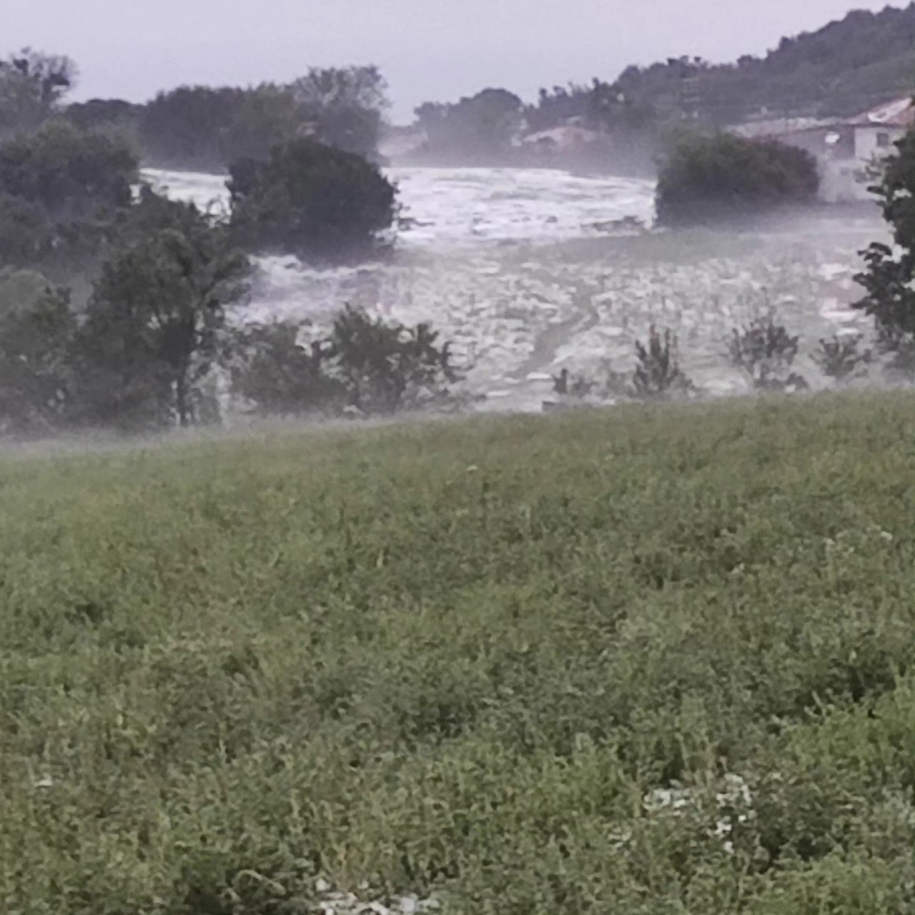 Dolu yağışı üzüm bağlarını vurdu
