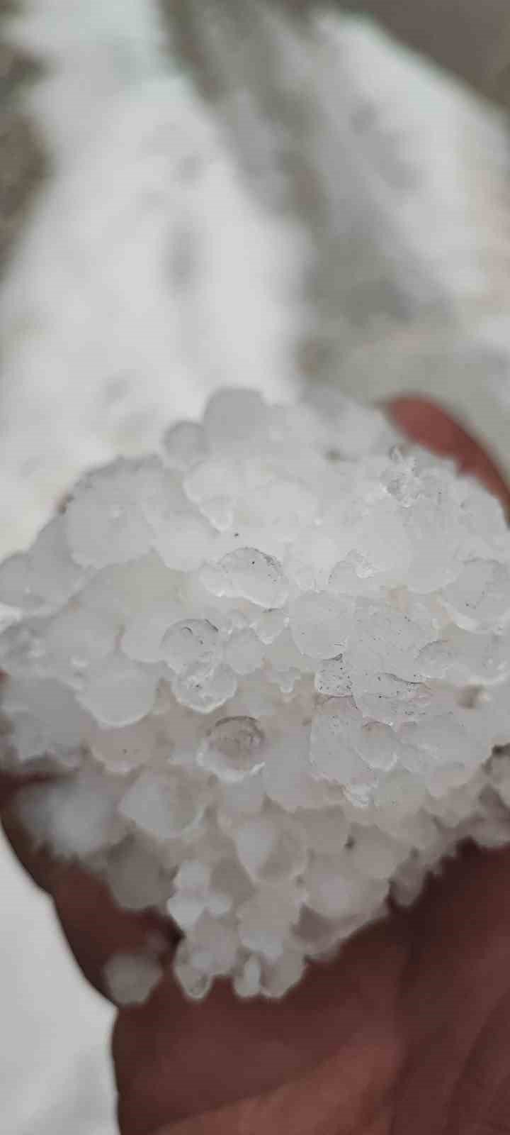 Dolu yağışı üzüm bağlarını vurdu